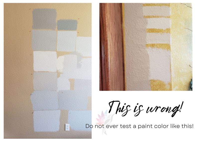 Test paint colors discount